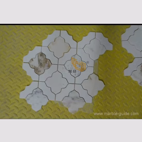 Unique Best Selling White Marble Mixed Shell Mosaic Tiles for Bathroom Swimming Pool