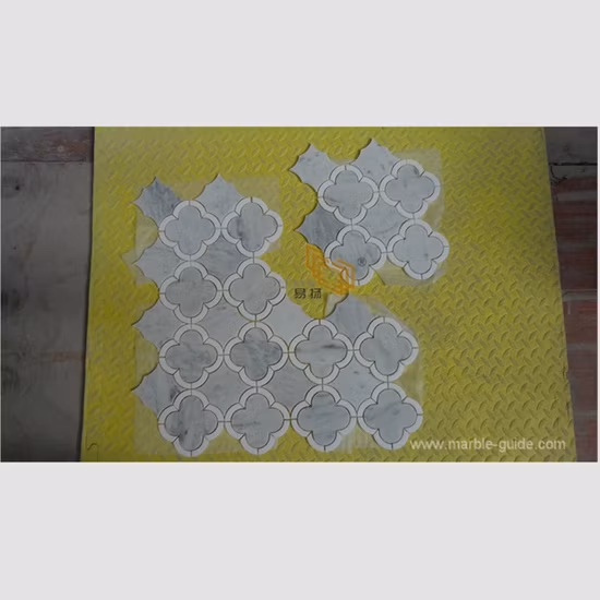 Unique Best Selling White Marble Mixed Shell Mosaic Tiles for Bathroom Swimming Pool