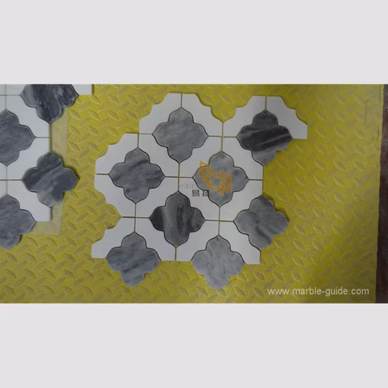 Unique Best Selling White Marble Mixed Shell Mosaic Tiles for Bathroom Swimming Pool